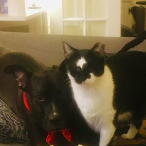 Meet your Posher, Marie